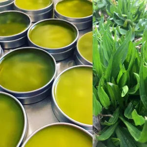Golden Healing Salve